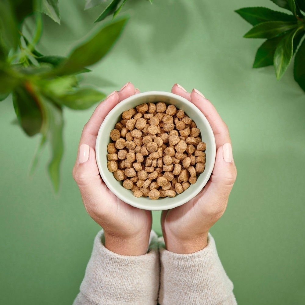 Purenatural Cat Sterilised Chicken