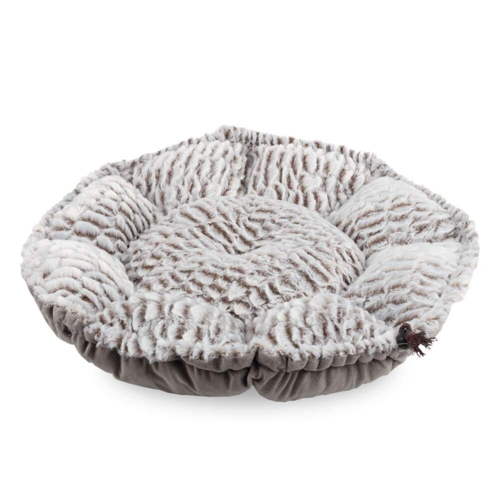 Basic Multifunctional Cat Bed