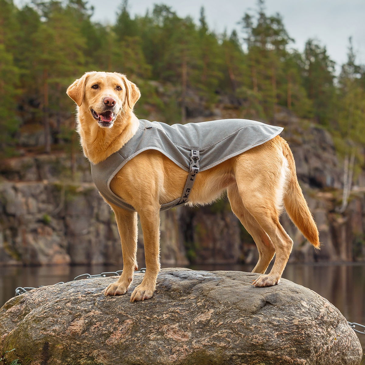 Rukka Cooling Vest Grey