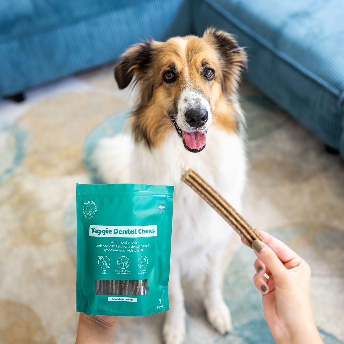 Buddy Veggie Dental Chew M