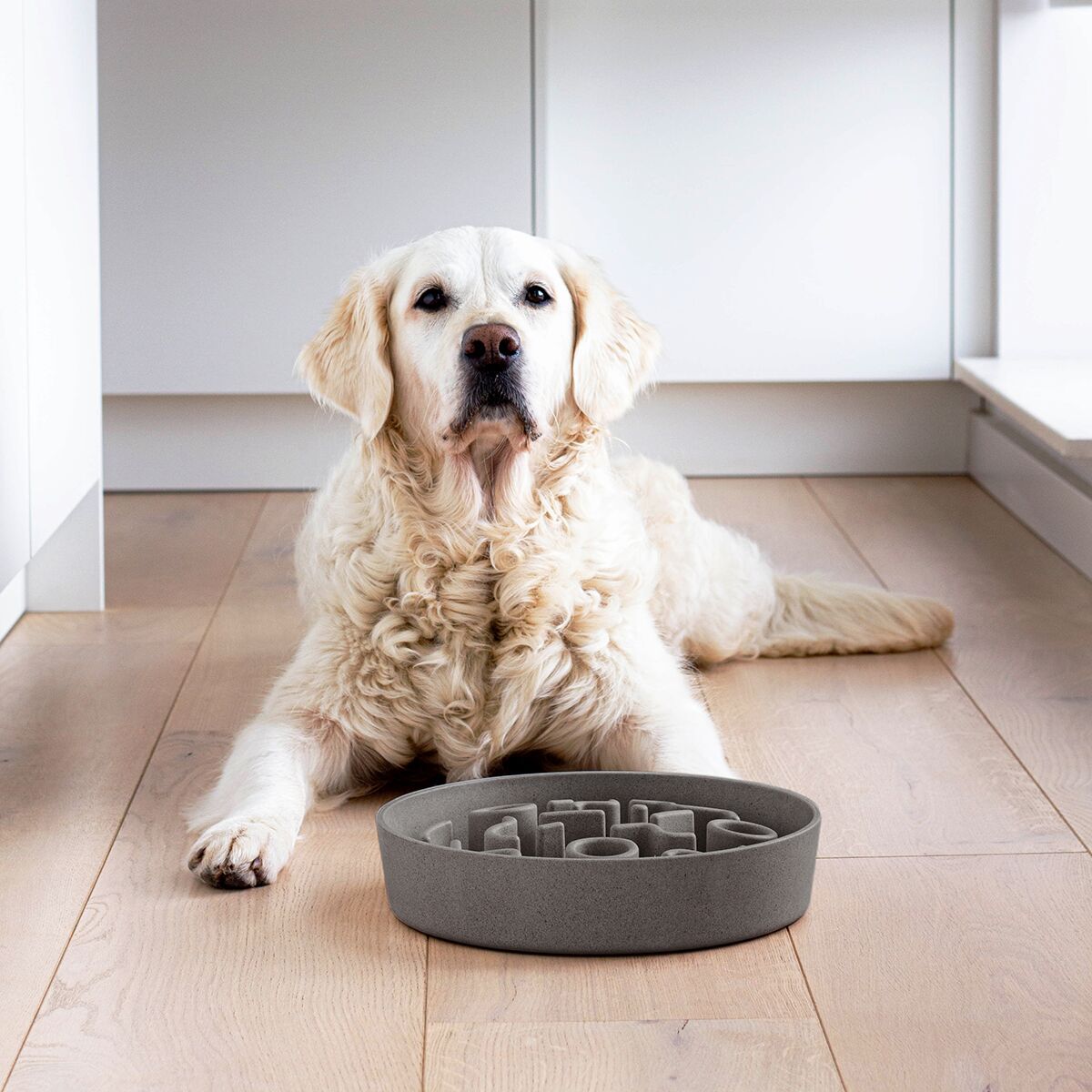 Bamboo Slow feeder District 70