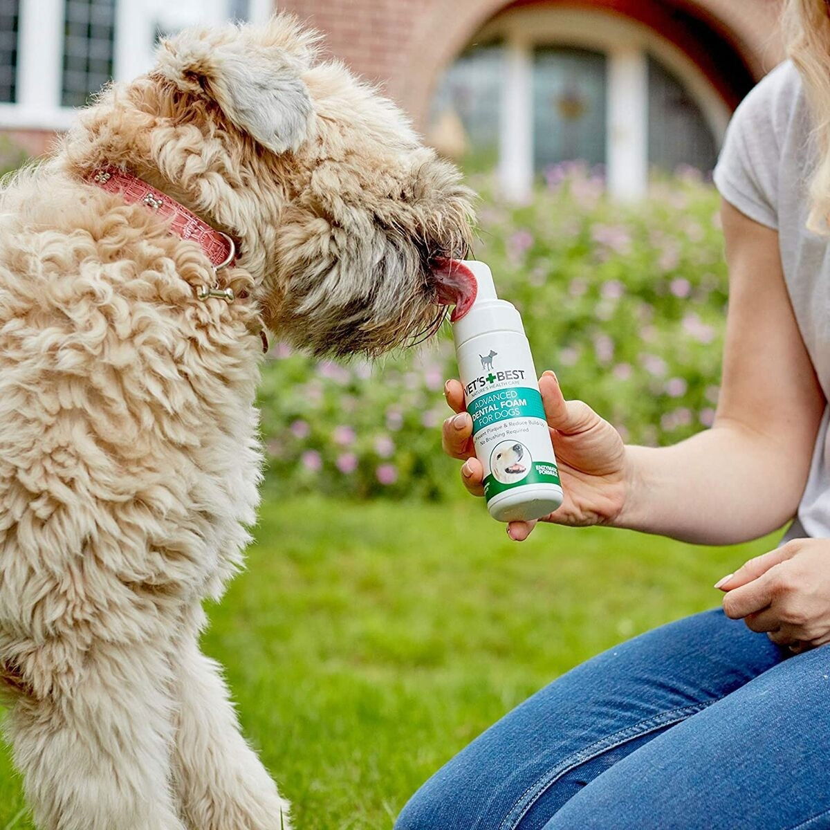 Vet's Best Dental Foam for Dogs 150ml