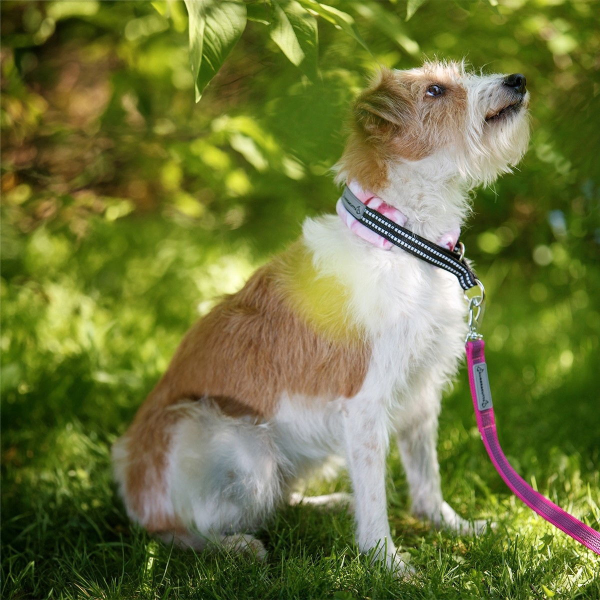 Kusse&Kutta grip leash BGB, 300cm