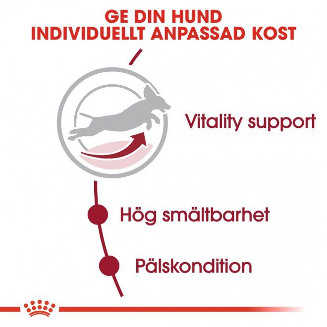 Royal Canin Medium Adult 7+ torrfoder för hund