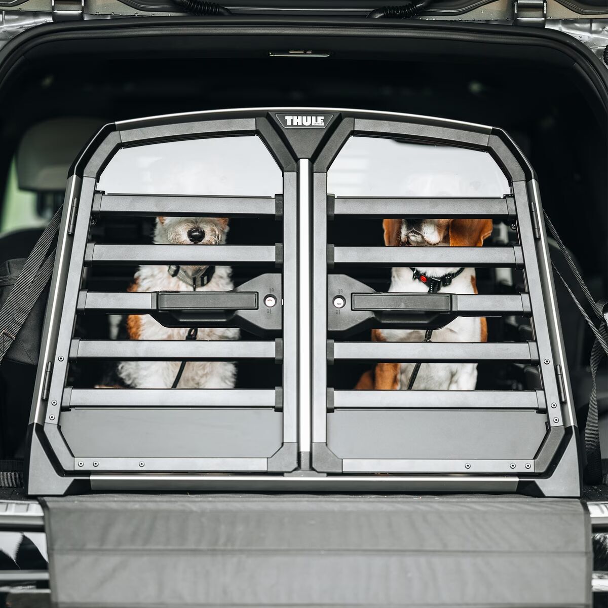 Thule Allax Bilbur Dubbel