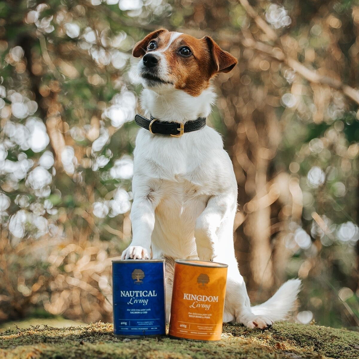 ESSENTIAL KINGDOM LIVING PATÉ 400g