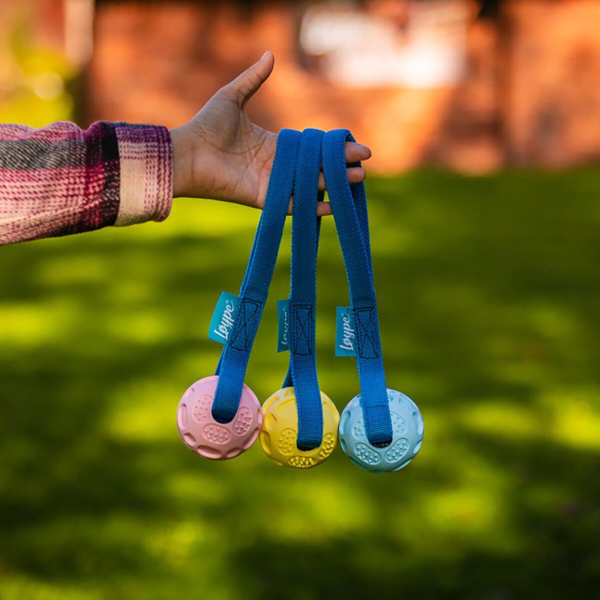 Loype Springster tug w. ball