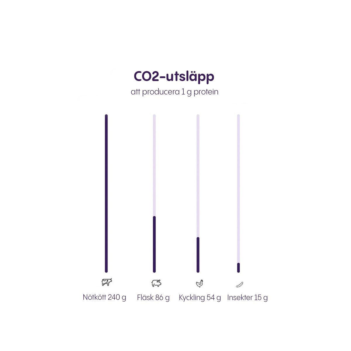 Petgood insect-based cat food adult