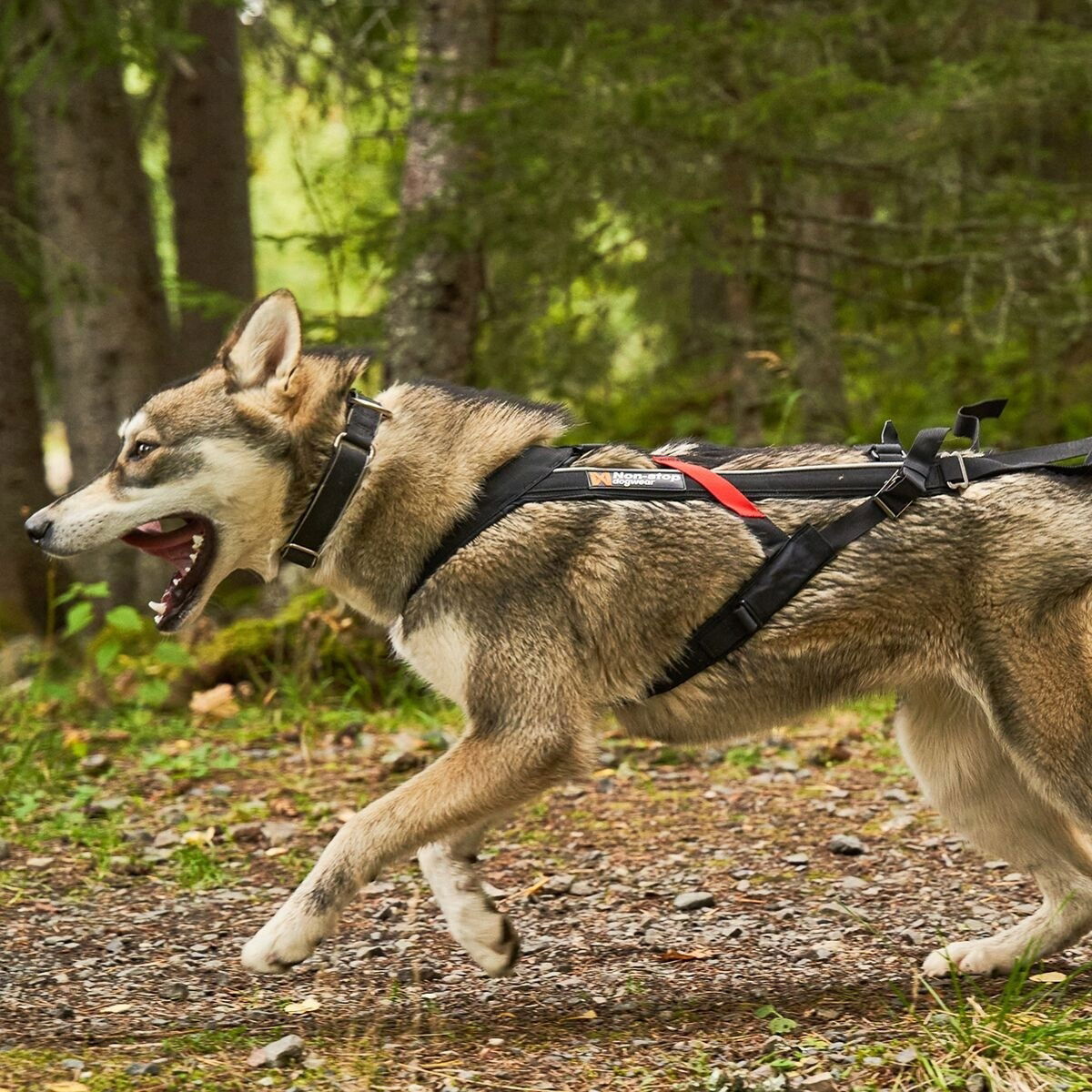 Non-stop Freemotion Dragsele 