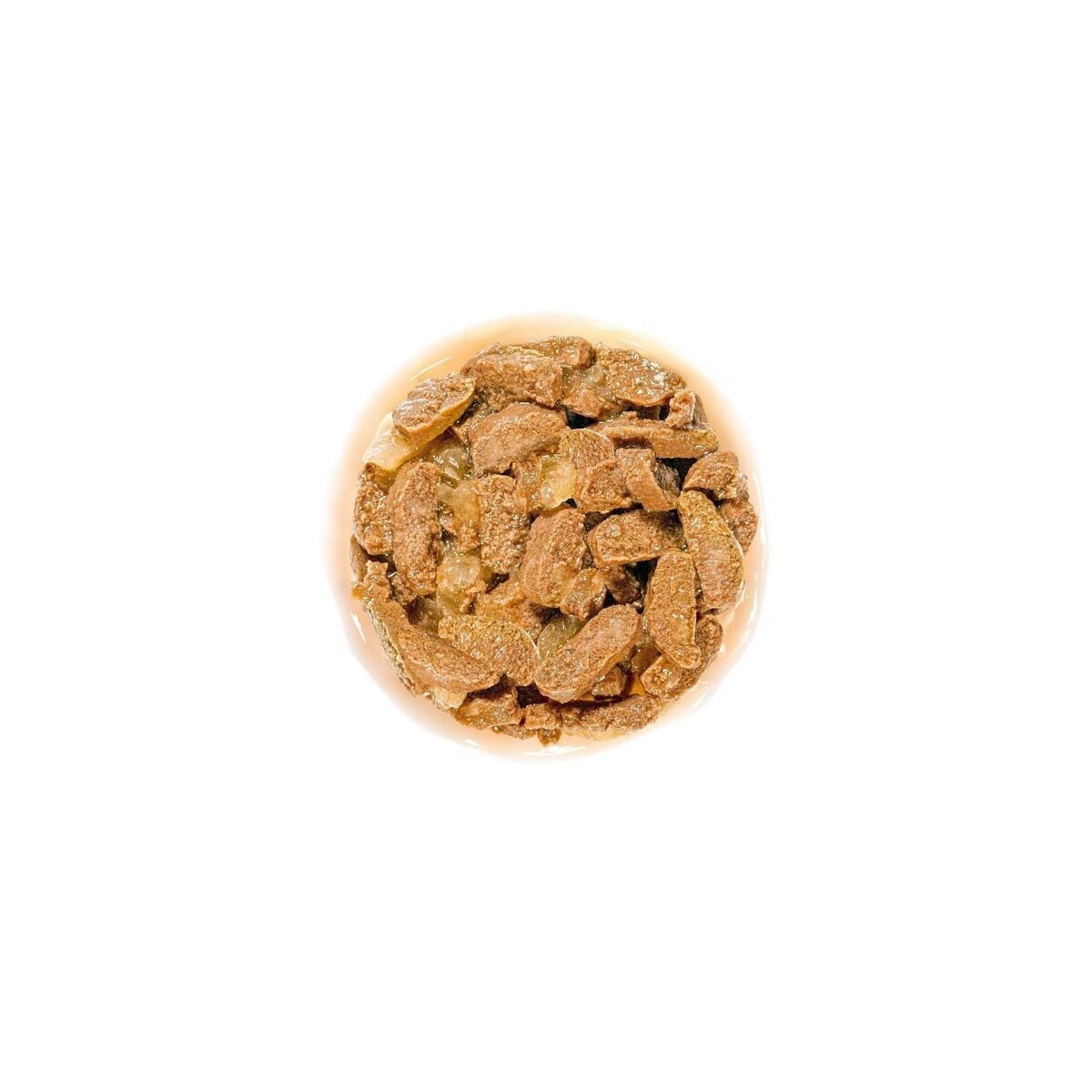 Royal Canin FHN Ageing 11+ CIJ Pouch 12X85G