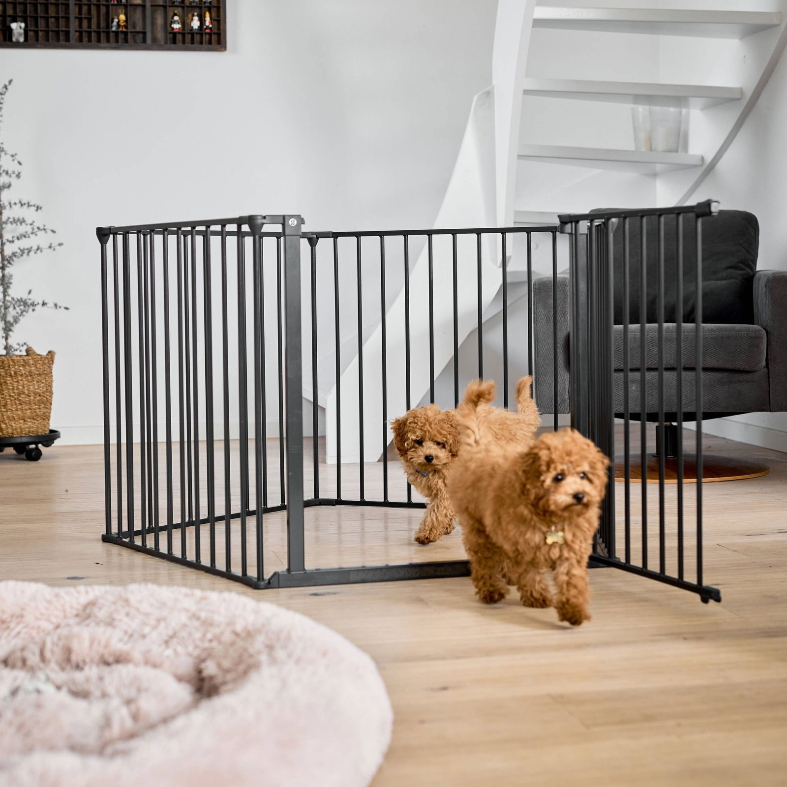 DogSpace Max wall mounted 2in1 room divider