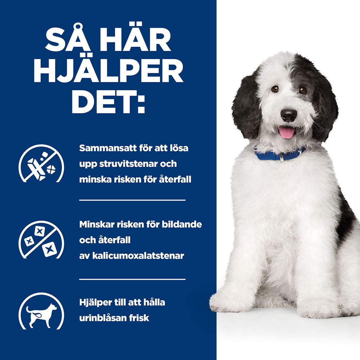 Hill's PD Canine c/d Multicare Chicken 370g