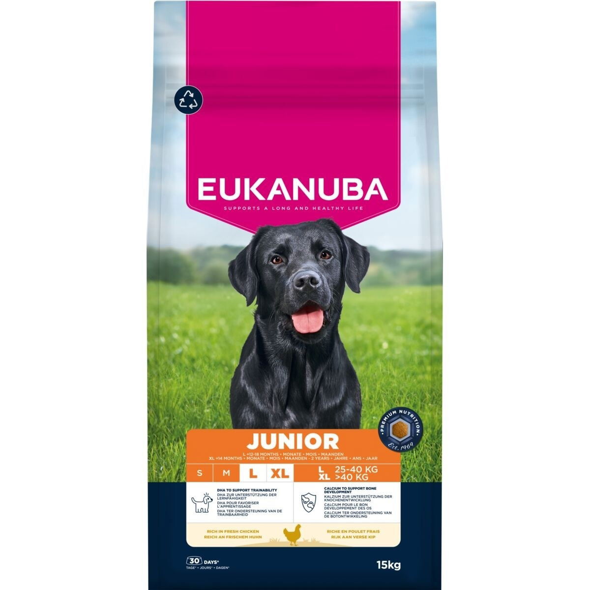 Eukanuba Junior Large 