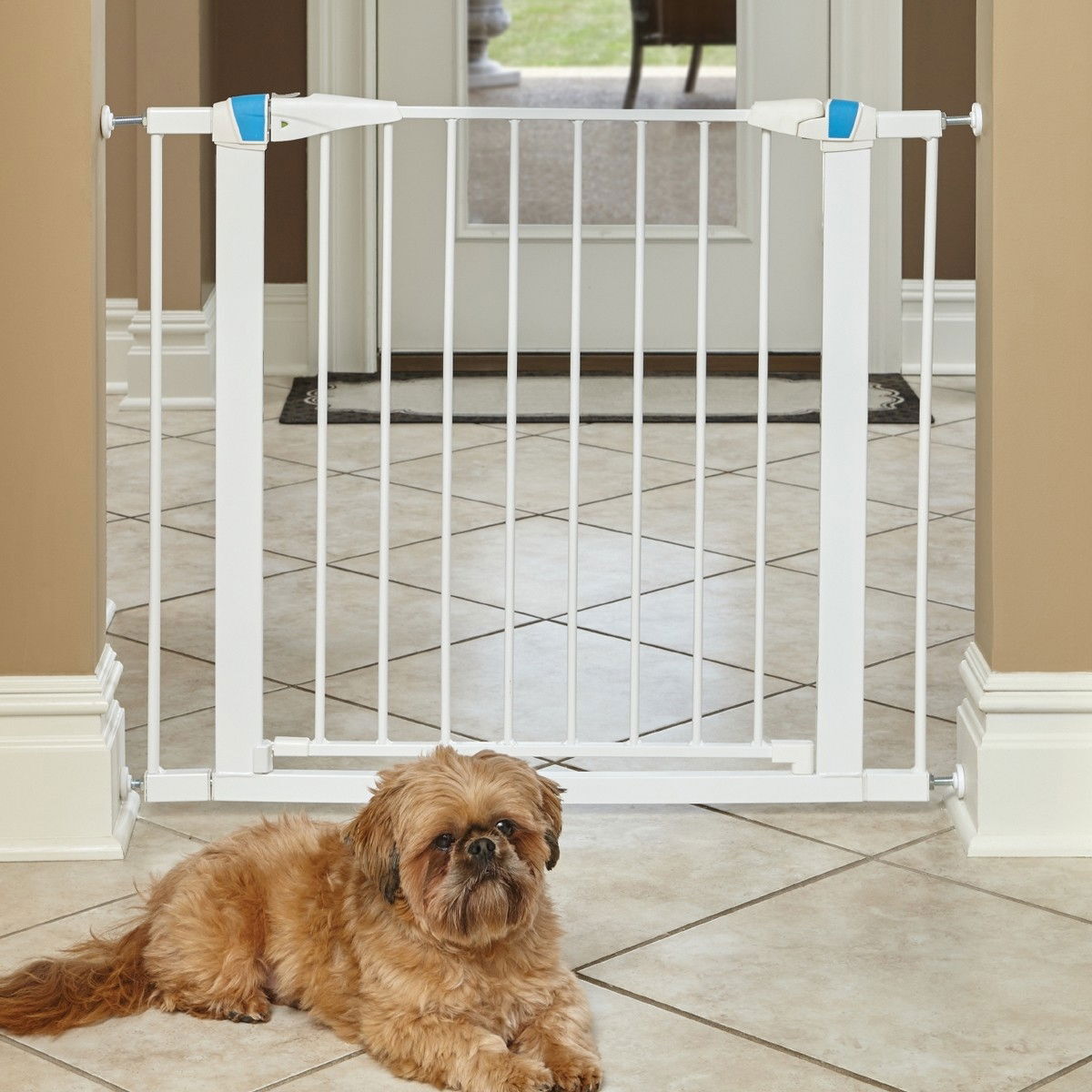 Koiraportti Midwest Glow, valkoinen