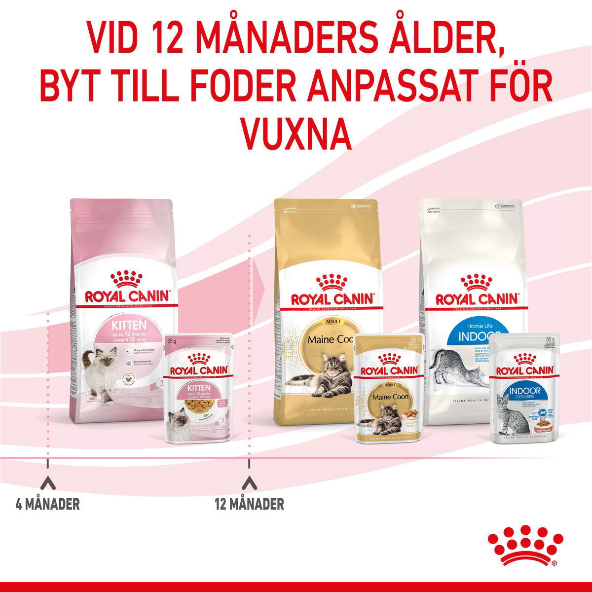 Royal Canin Kitten Jelly våtfoder för kattunge