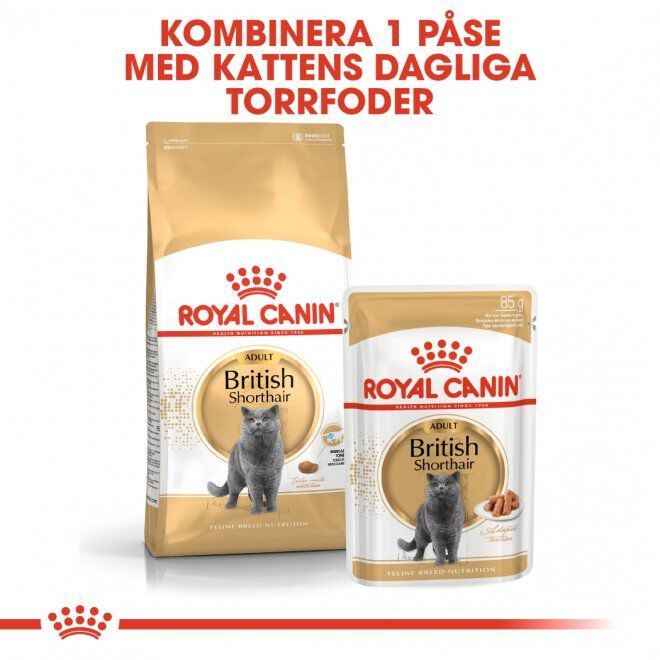 Royal Canin British Shorthair Adult Gravy våtfoder för katt