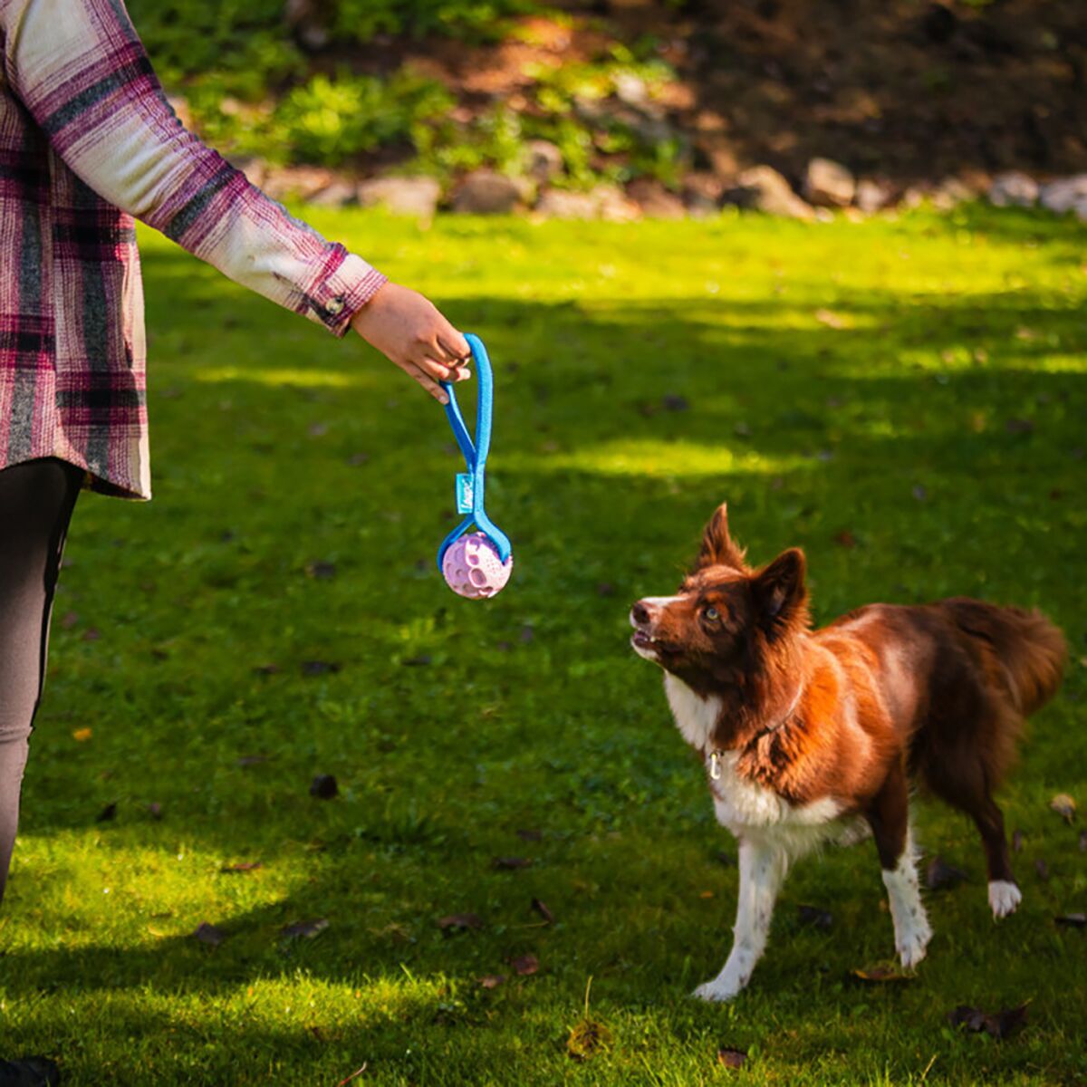 Loype Springster tug w. ball