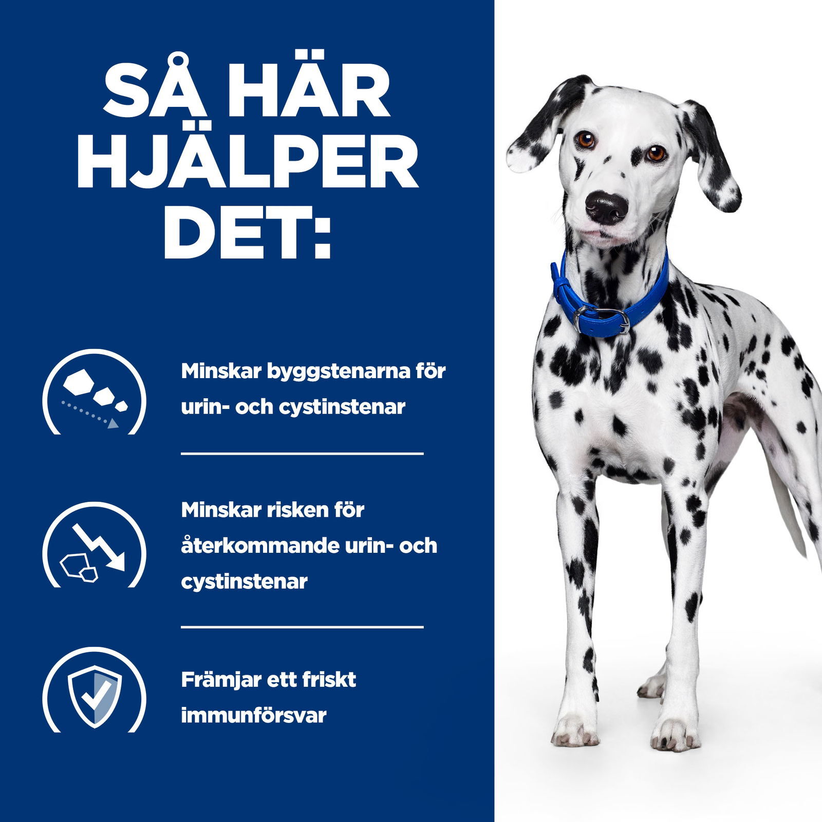 Hills Diet Dog u/d