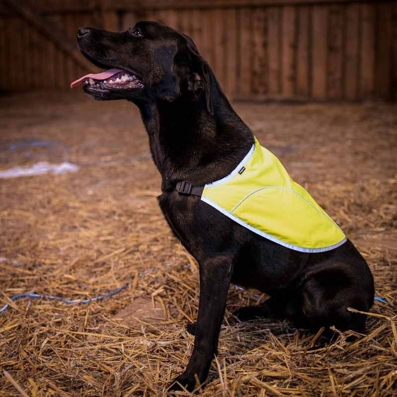 Dogman Ref väst Rex Gul 