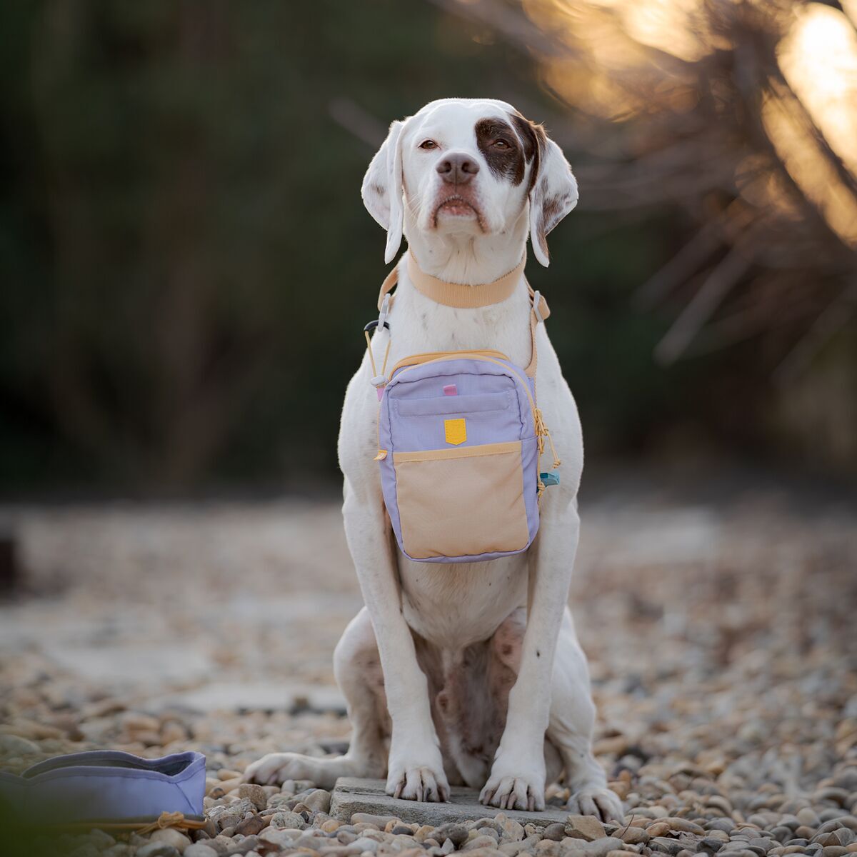 Woolly Wolf Hydration Shoulder Bag Lavender Mix