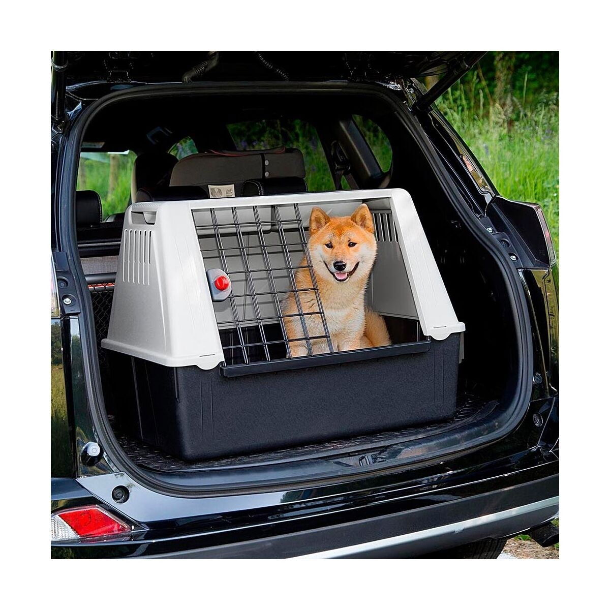 Transportbur bil Atlas