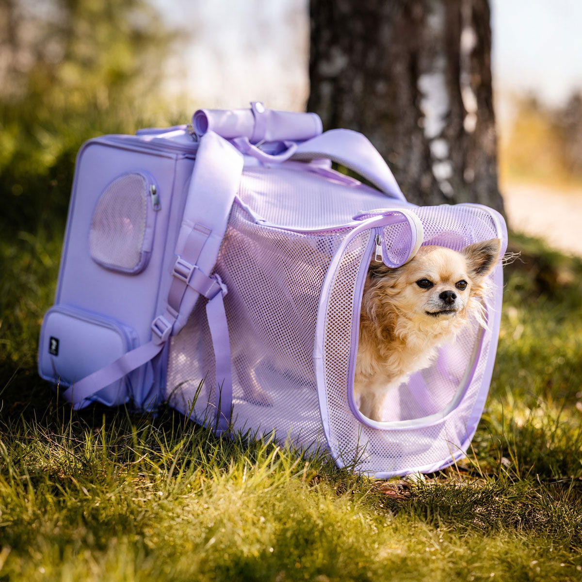 Feel Active Tour expandable backpck lavender