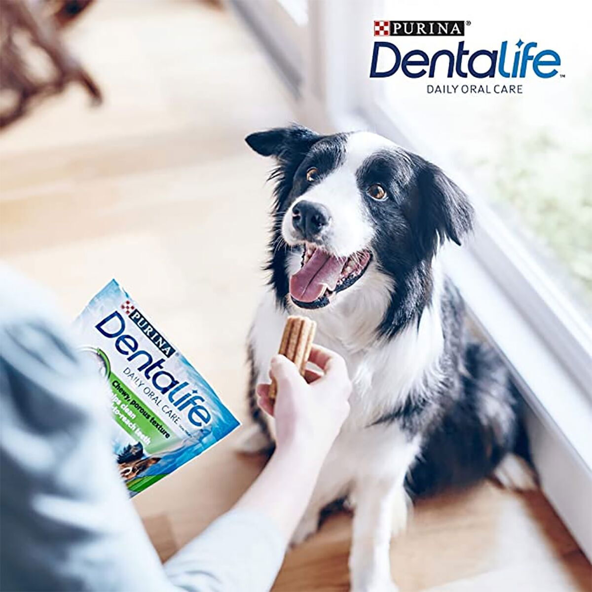 Purina Dentalife Medium