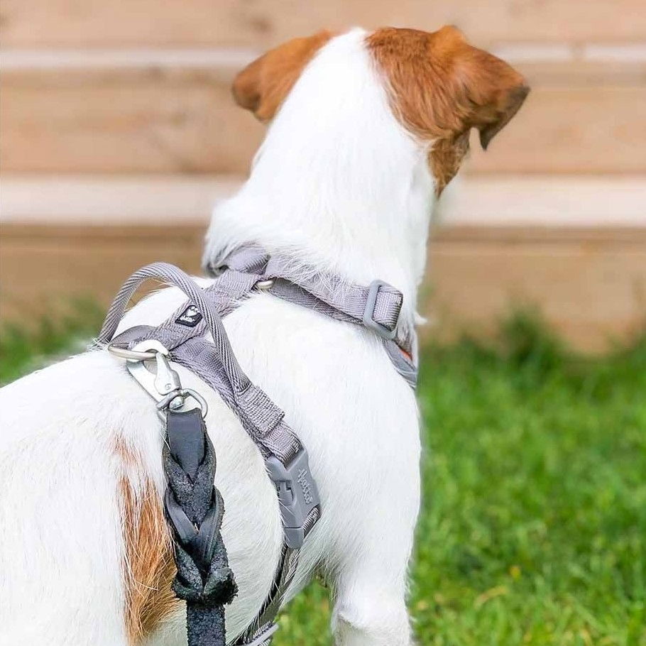 Hurtta Venture No-Pull Harness buckthorn