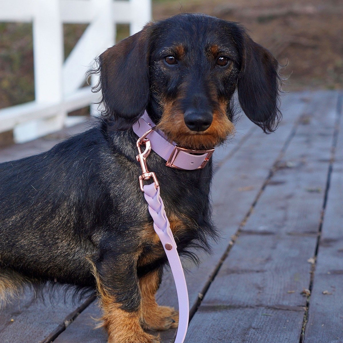 Tyylivoitto Braid leash, lavender