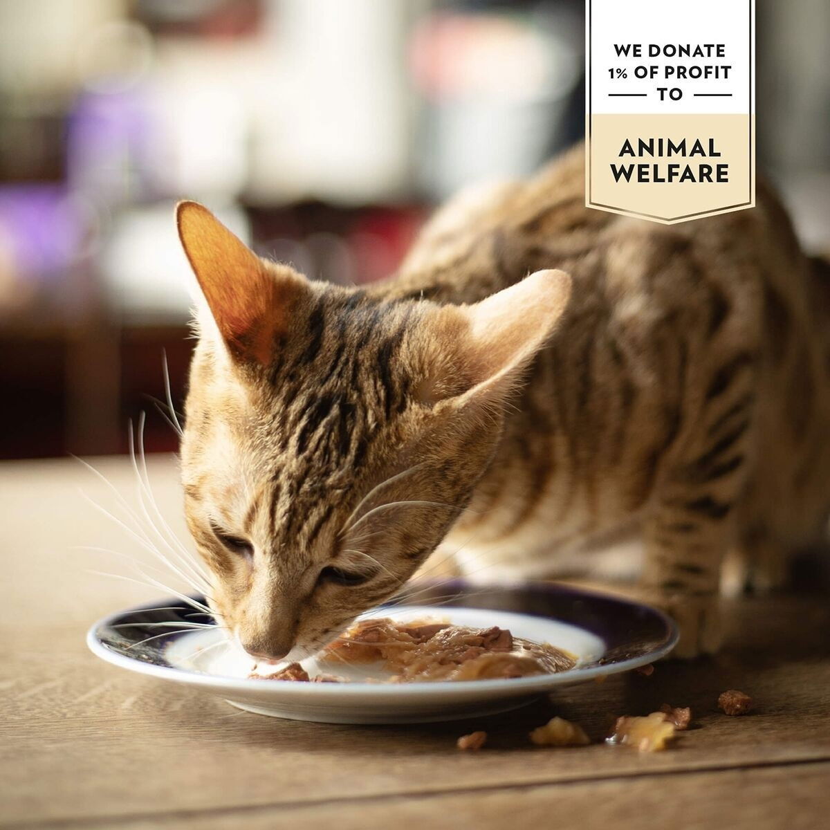 PrimaCat Classic valuepack 48x85g