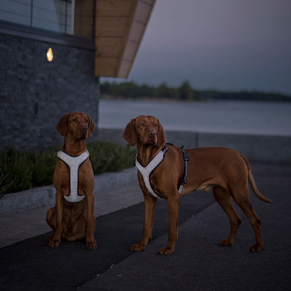 Feel Active Reflective Sele Svart