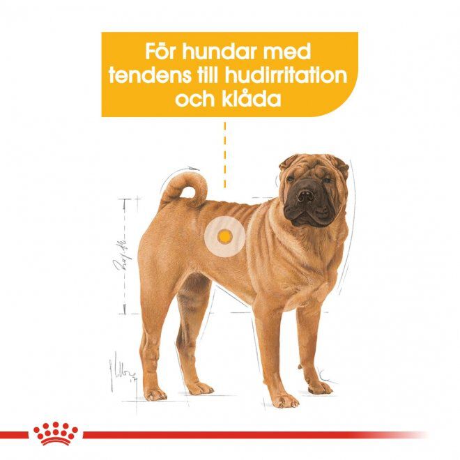 Royal Canin Dermacomfort Medium Adult torrfoder för hund