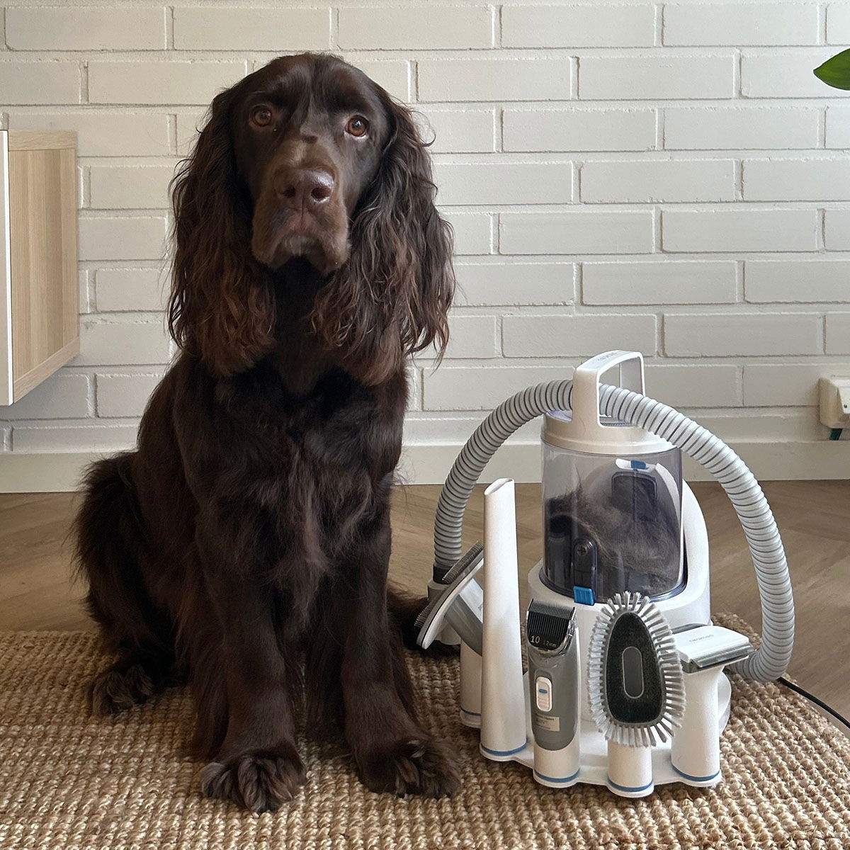 Neakasa P2 Pro Pet Grooming Kit