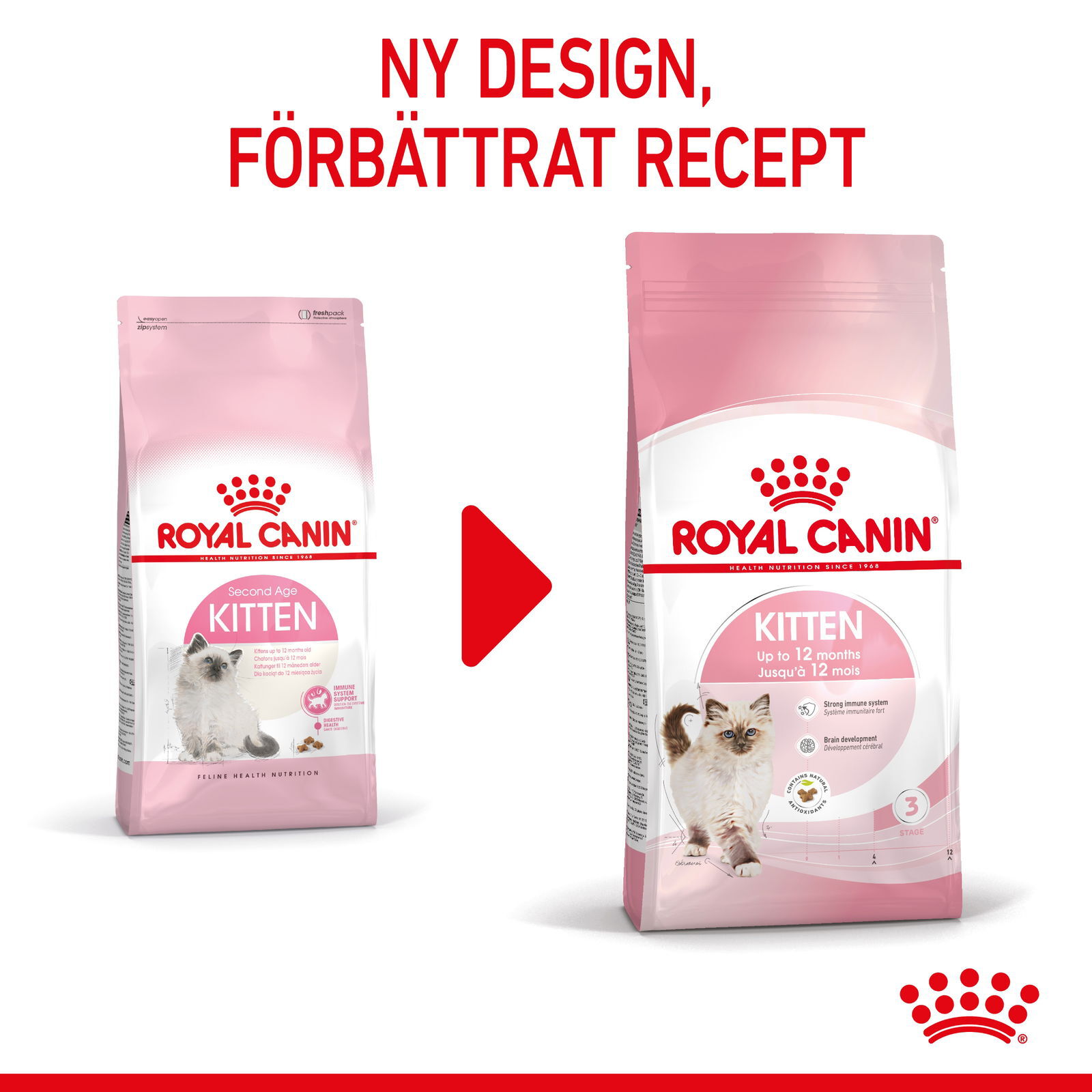 Royal Canin Kitten torrfoder för kattunge