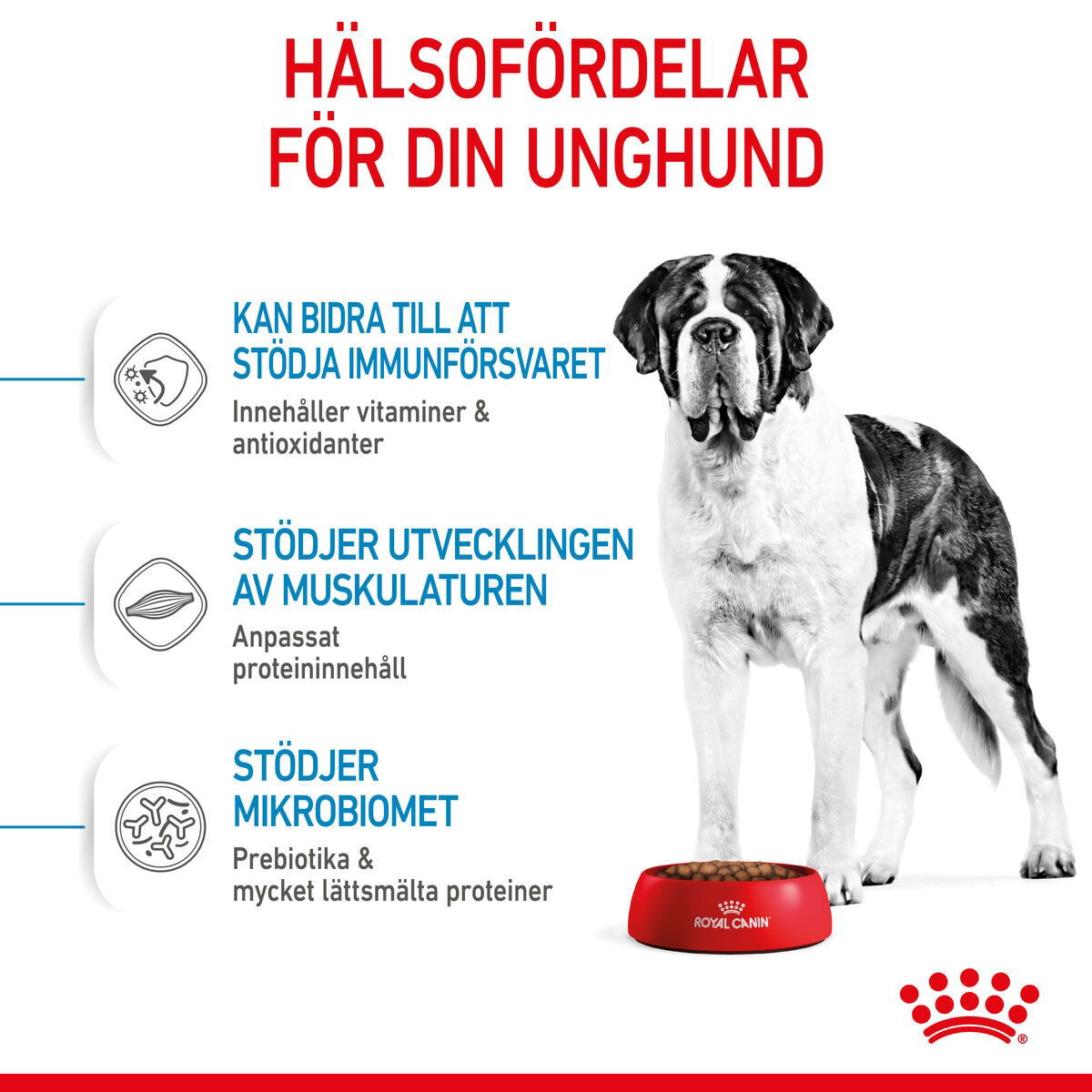 Royal Canin Giant Junior torrfoder för hundvalp
