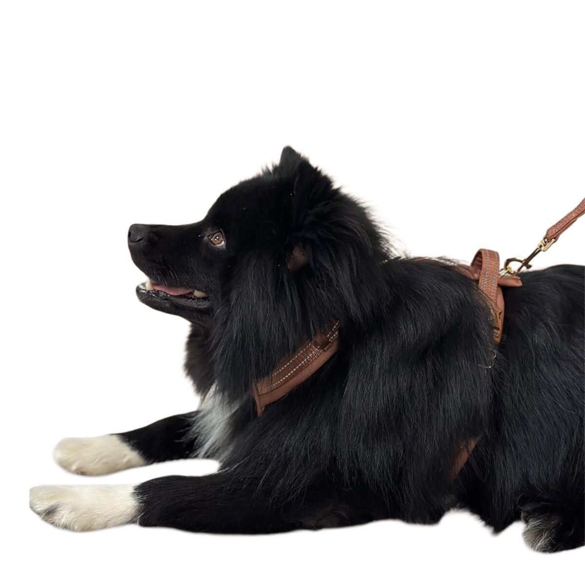 Trufois Comfy Harness Brown