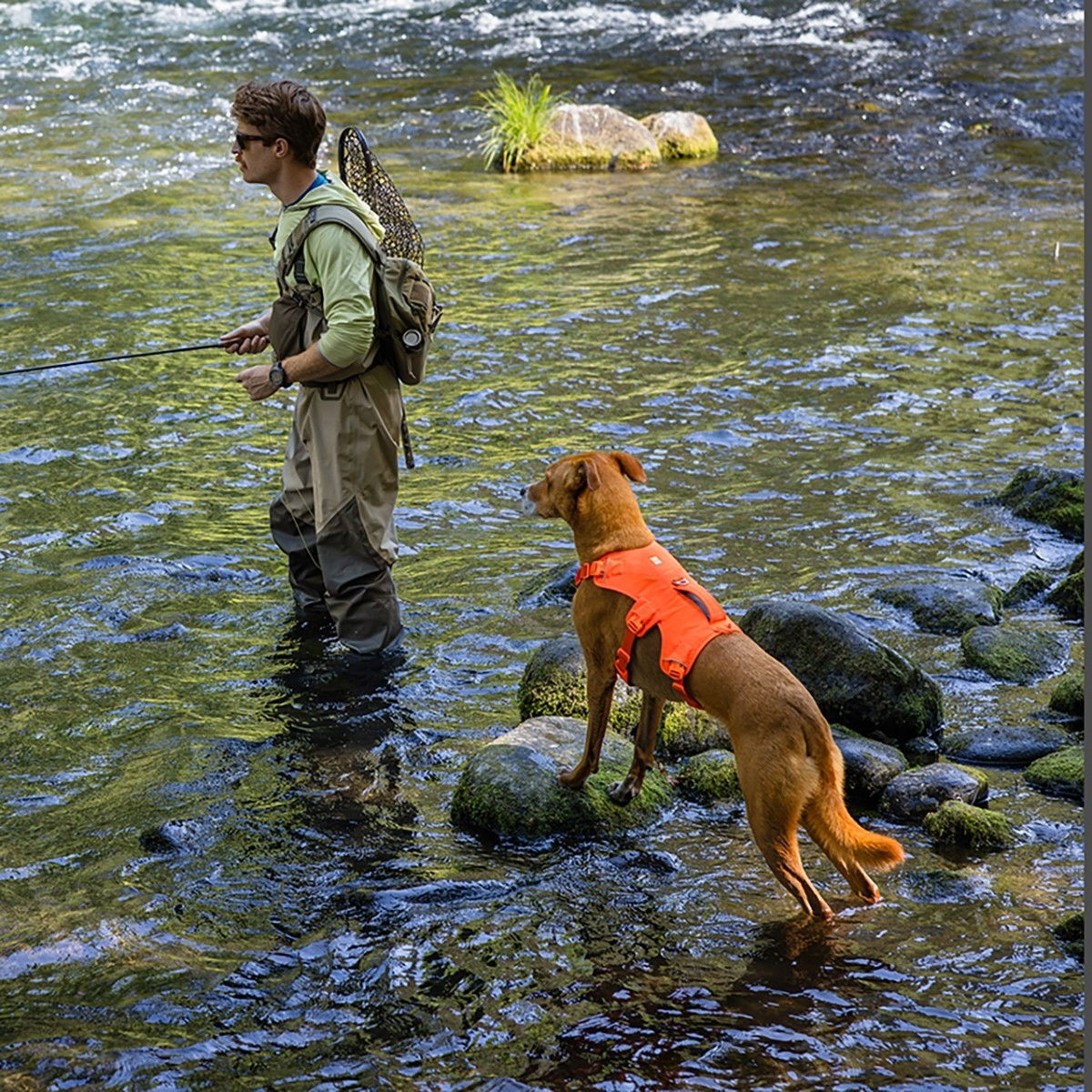 Ruffwear Web Master harness, Blaze Orange