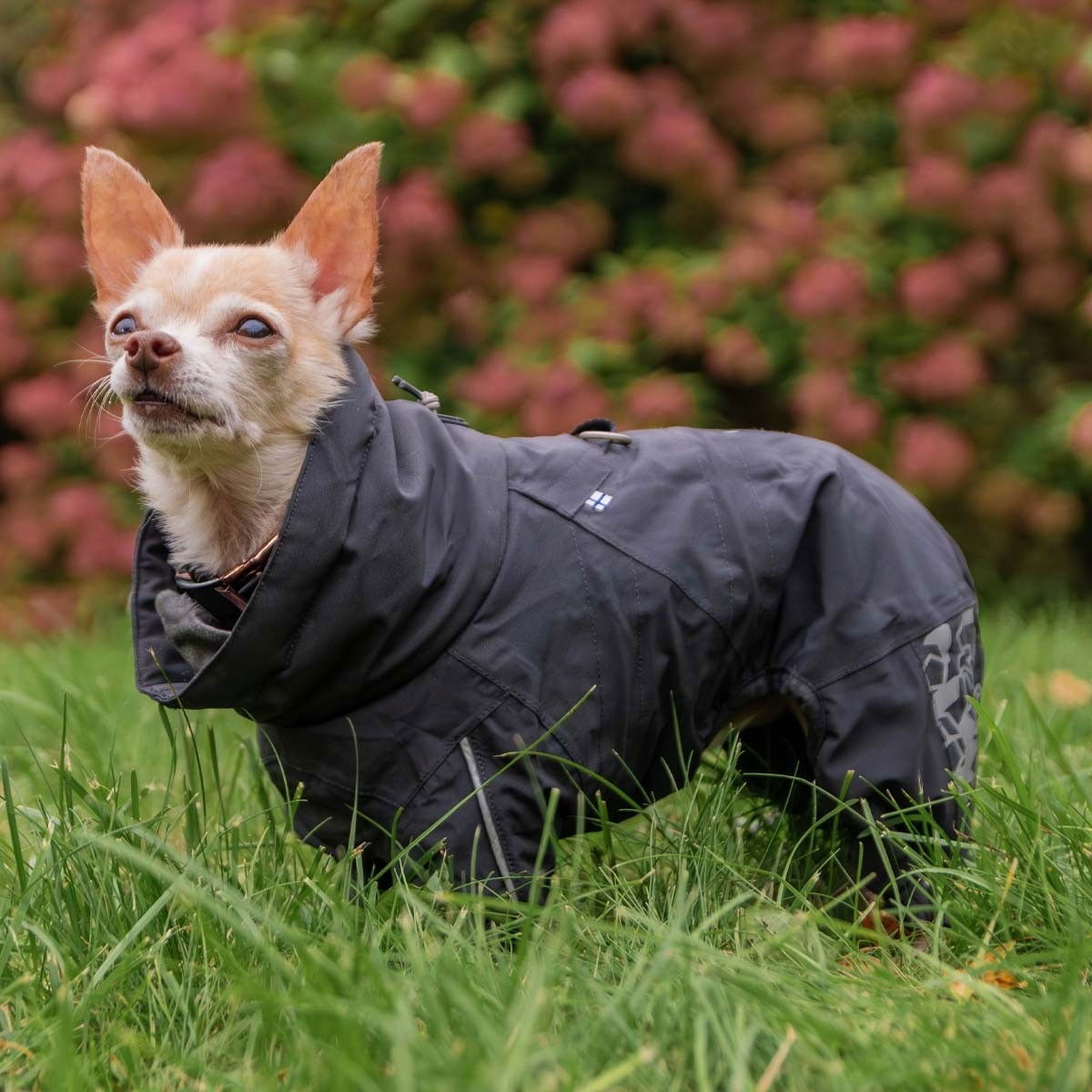 Hurtta Extreme Overall blackberry 35S