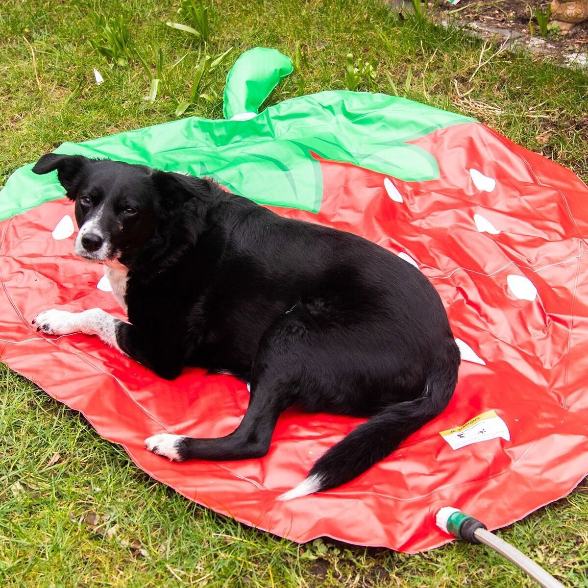 Rosewood Strawberry Splash Mat