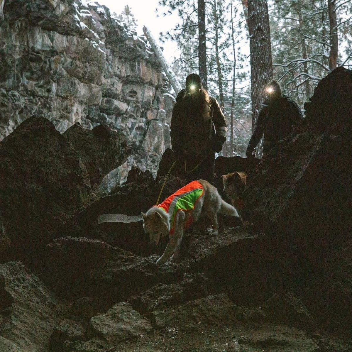 Ruffwear Lumenglow High-Vis Jacket Blaze Orange