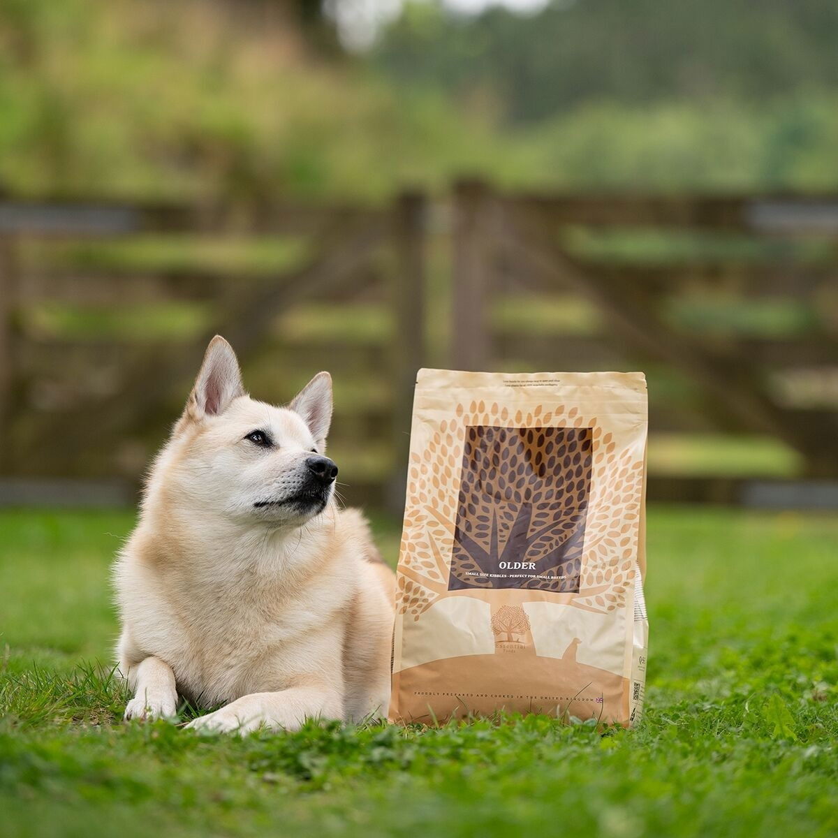 ESSENTIAL OLDER 10kg