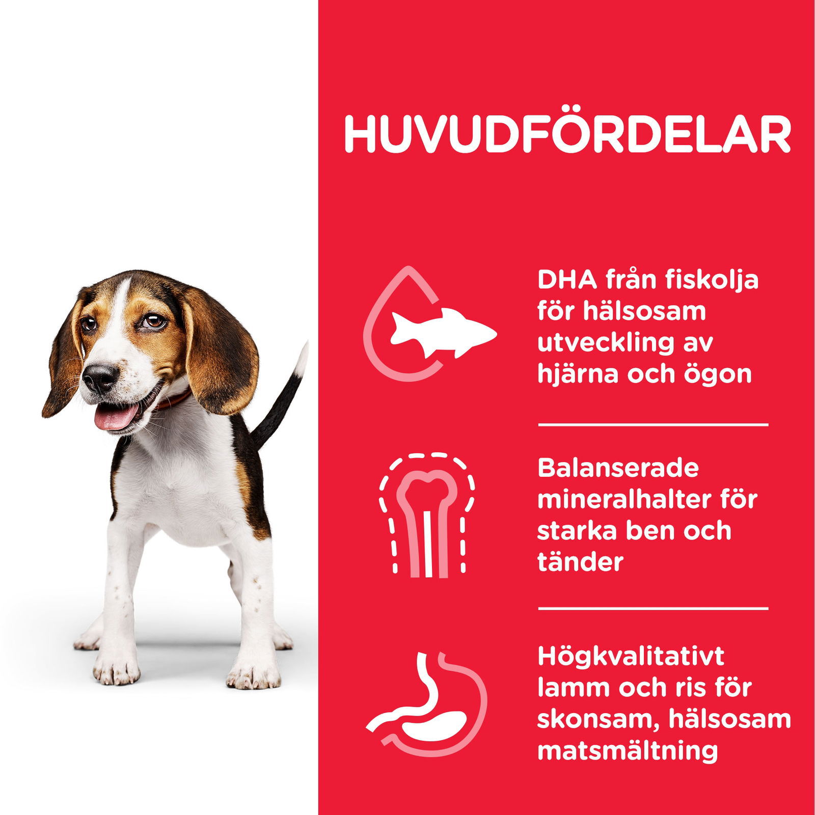 Hill's Science Plan Puppy Chicken