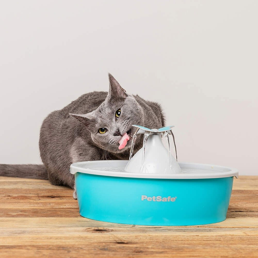 Petsafe Butterfly Water Fountain 1,5L