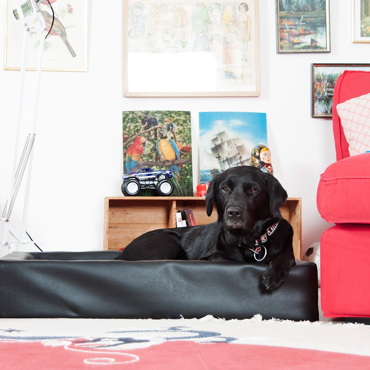 Bia Original Svart 1 45x45cm 