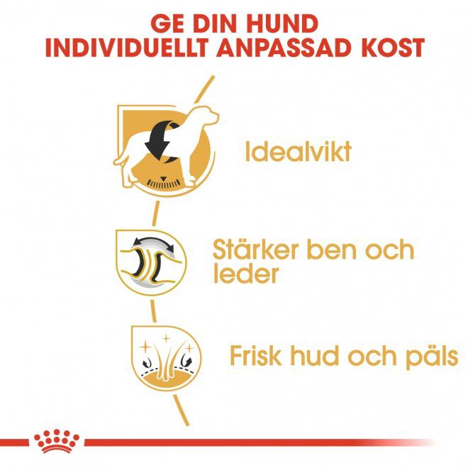 Royal Canin Labrador Retriever Adult torrfoder för hund