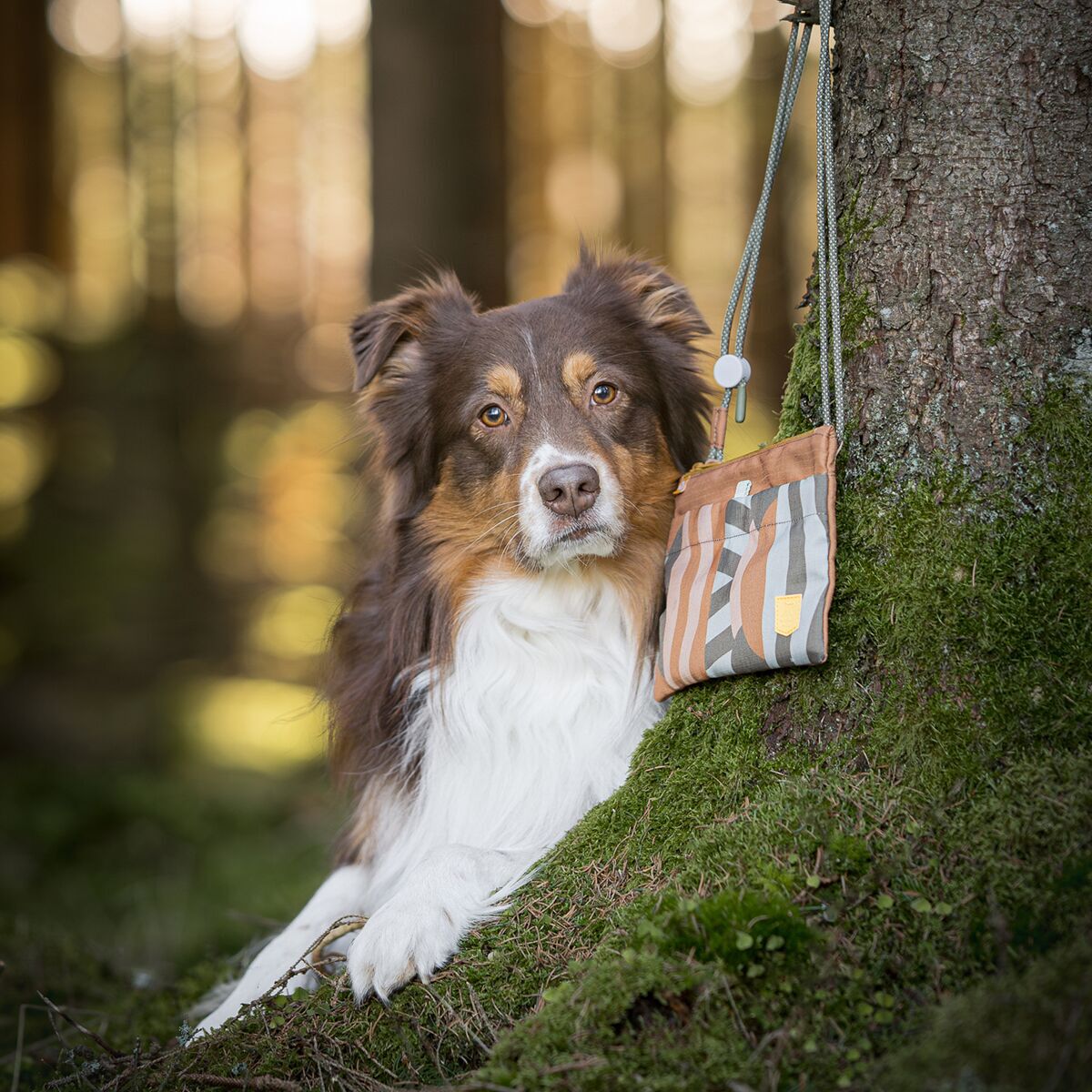 Woolly Wolf Accessory Bag