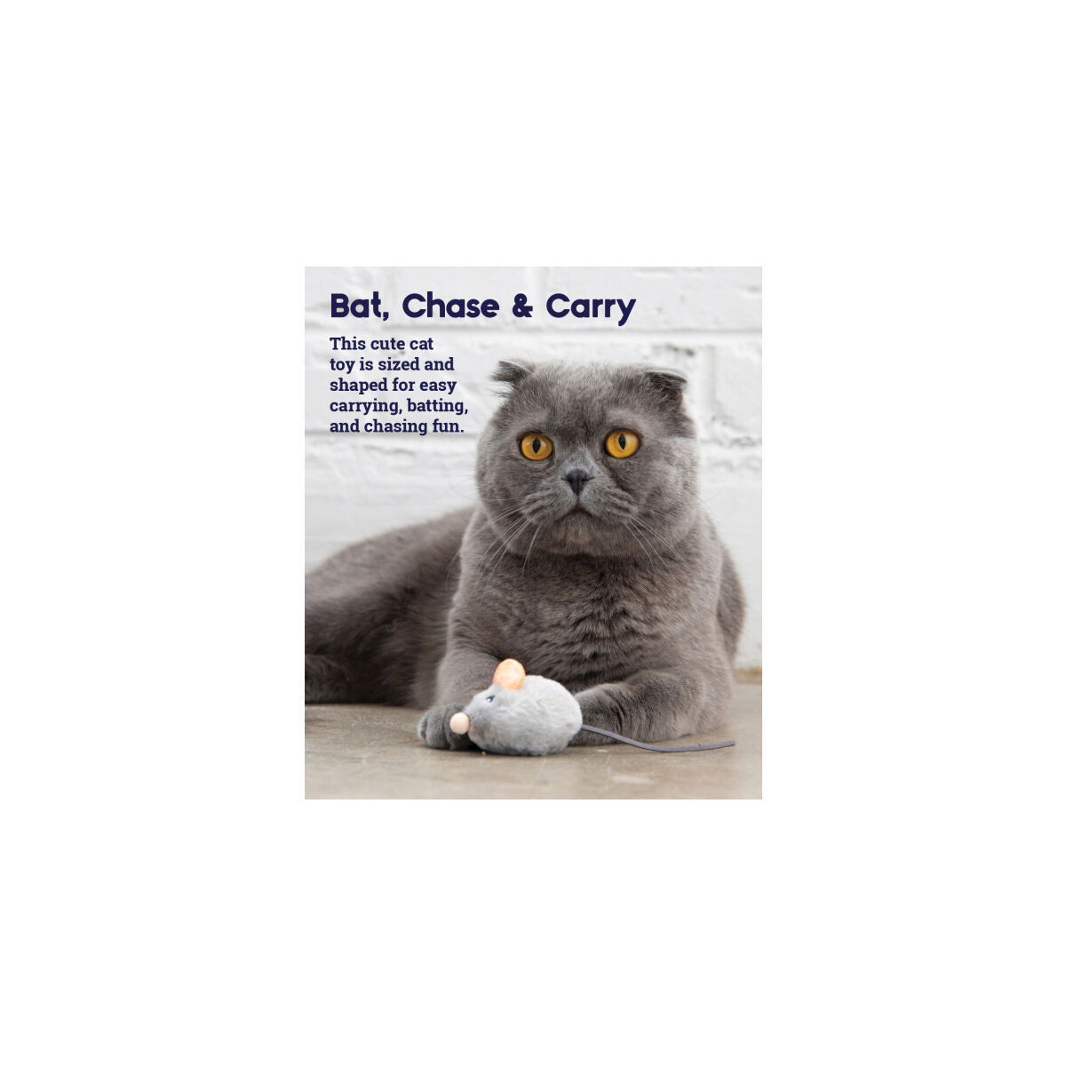 Petstages Squeake Squeake Mouse cat toy with catnip