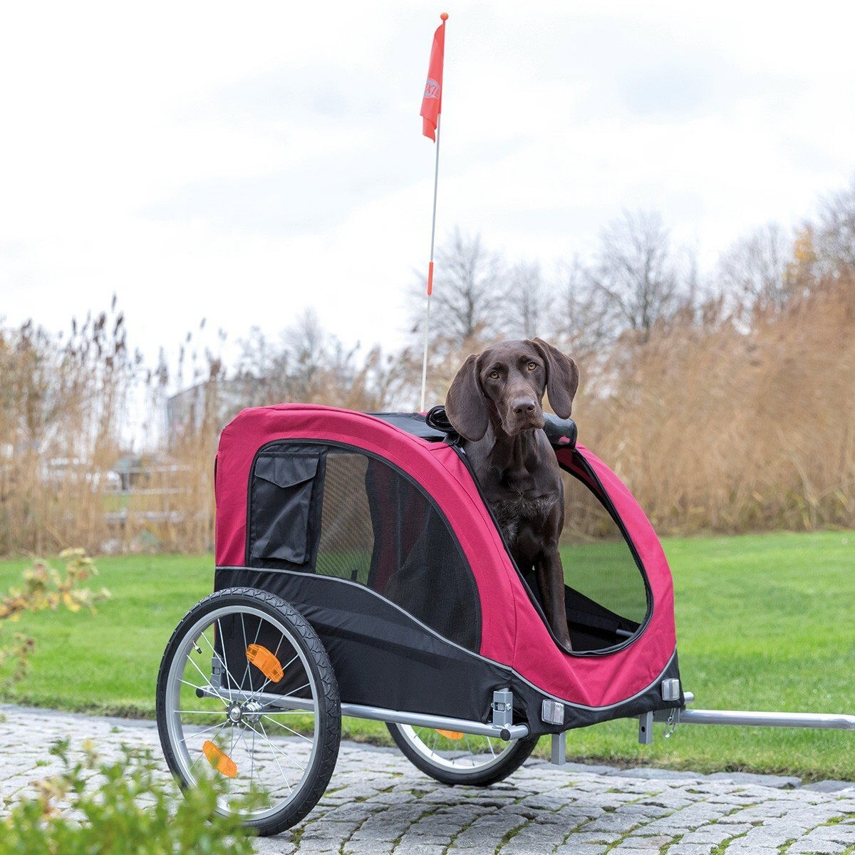 Trixie Cykelvagn  svart/röd 