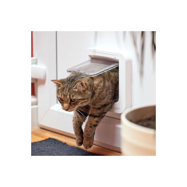 Catdoor Sureflap Microchip XL