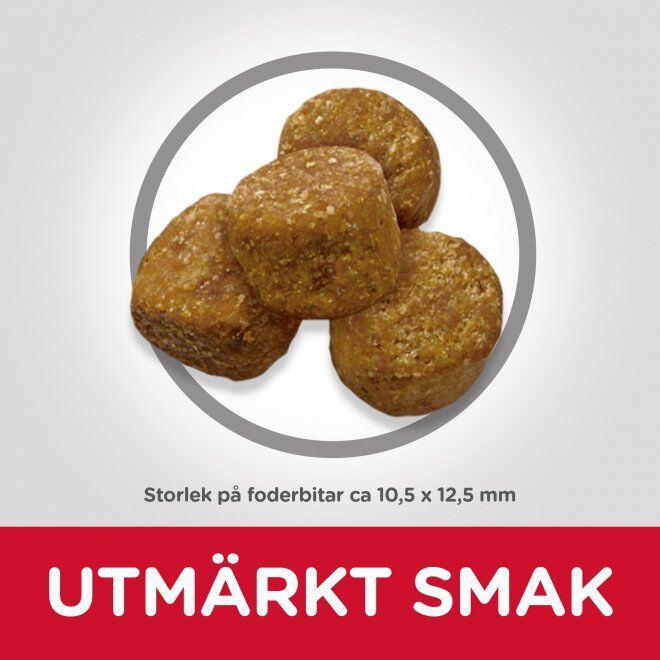 Hill's Science Plan Dog Adult Light Chicken